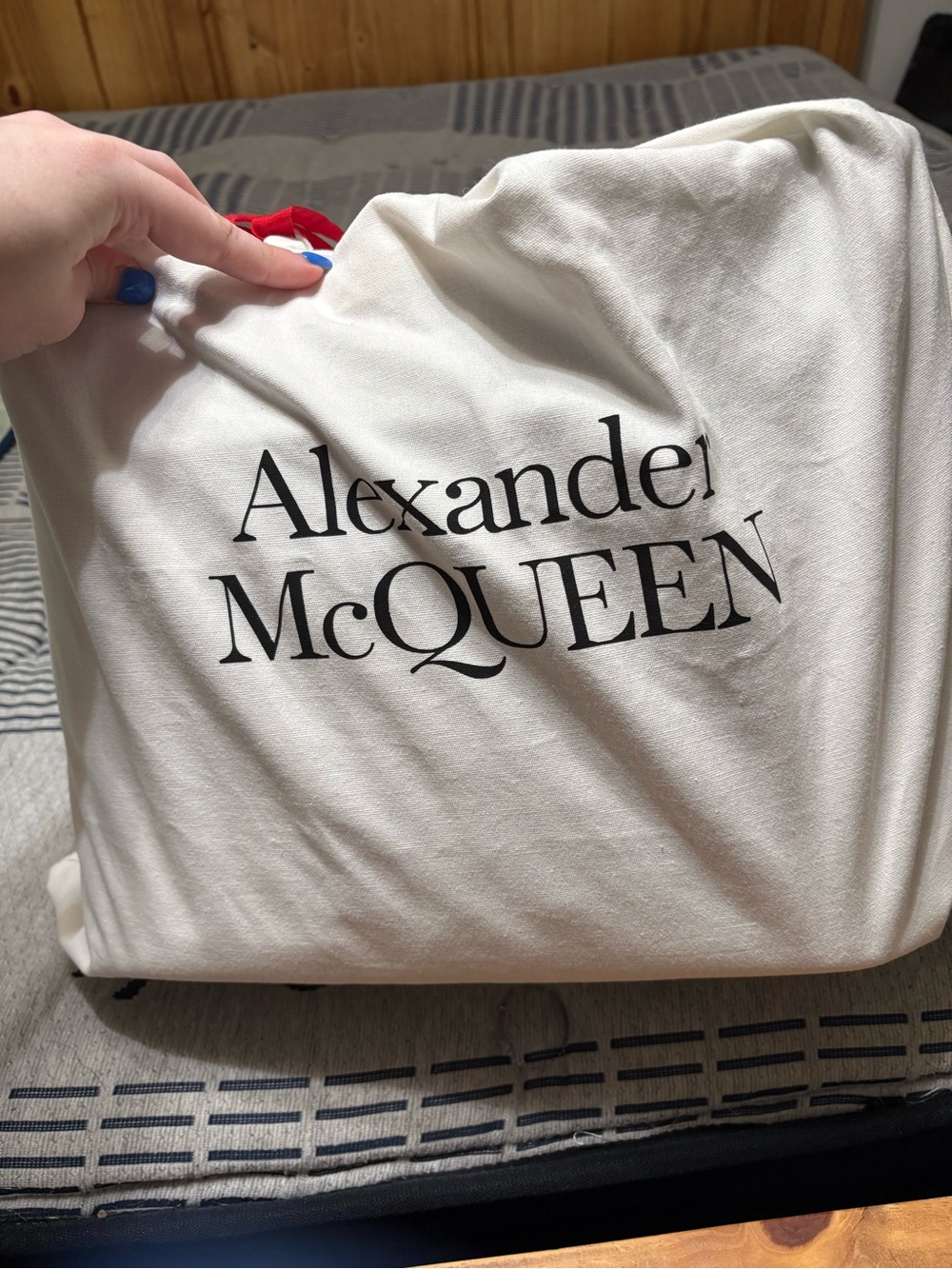 Alexander McQueen Purple Tote